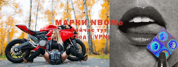 кокс Корсаков