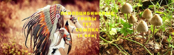 эйфоретик Коряжма