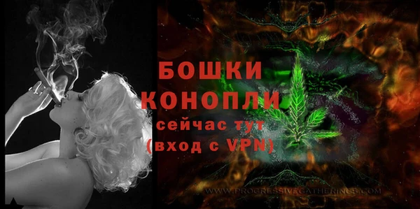 кокс Корсаков
