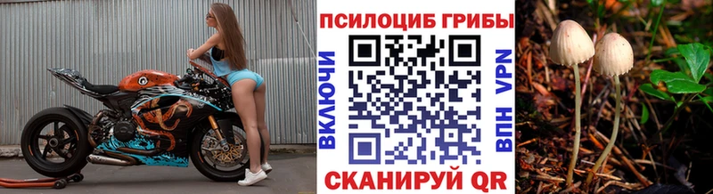 Псилоцибиновые грибы GOLDEN TEACHER  Сысерть 